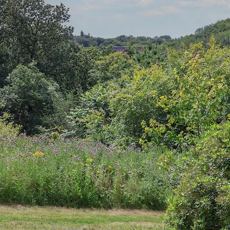 Cowslip * Saltburn-by-the-Sea