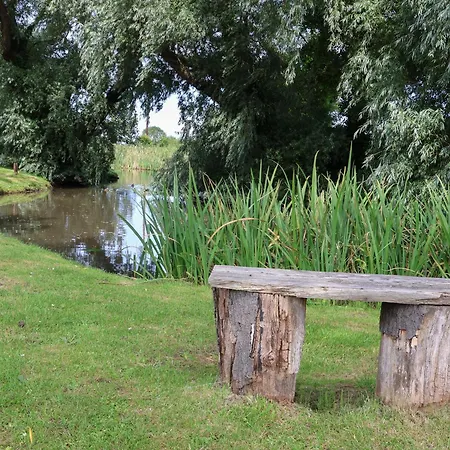 Cowslip Saltburn-by-the-Sea