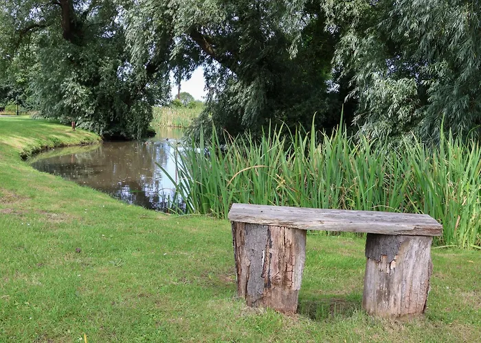 Cowslip Saltburn-by-the-Sea